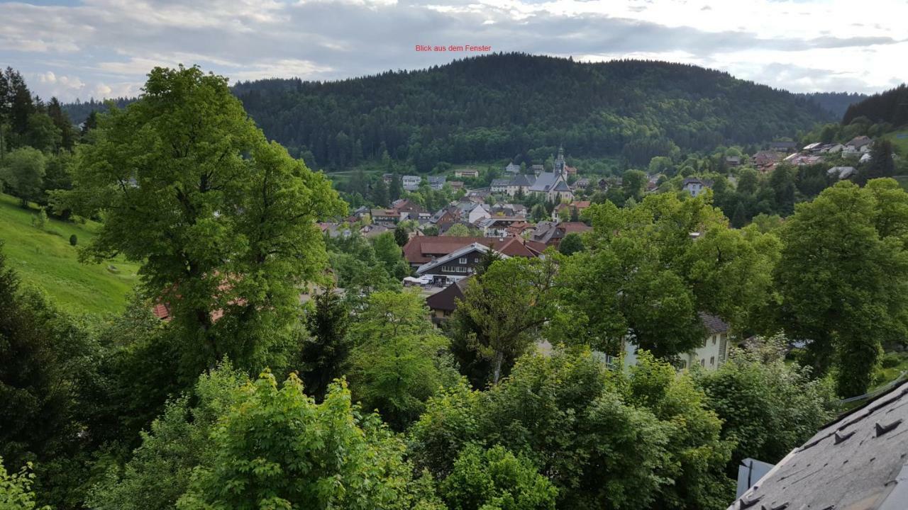 Ferienwohnung Im Schwarzwald Todtmoos Exterior foto